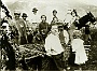 vendemmia 1903